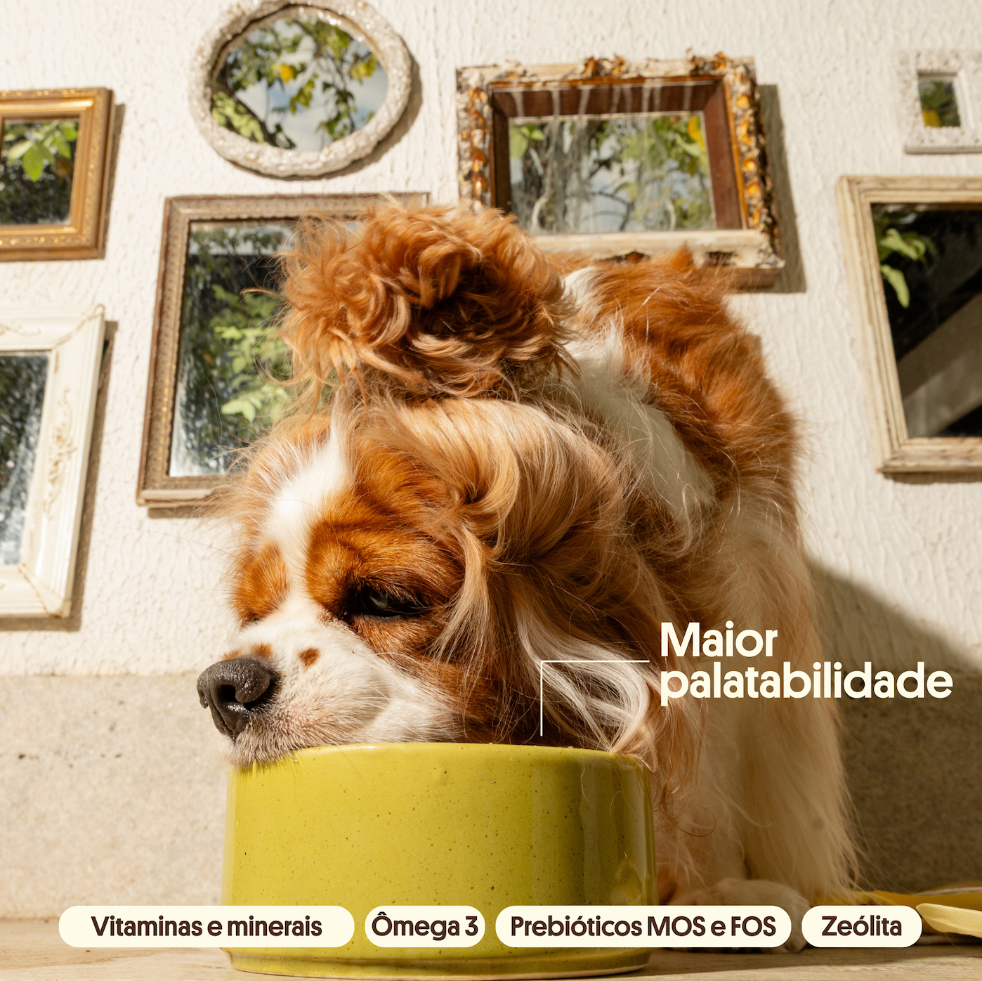Alimentação Natural 300g