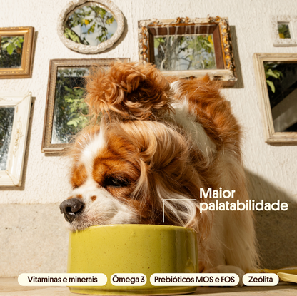 Alimentação Natural 500g