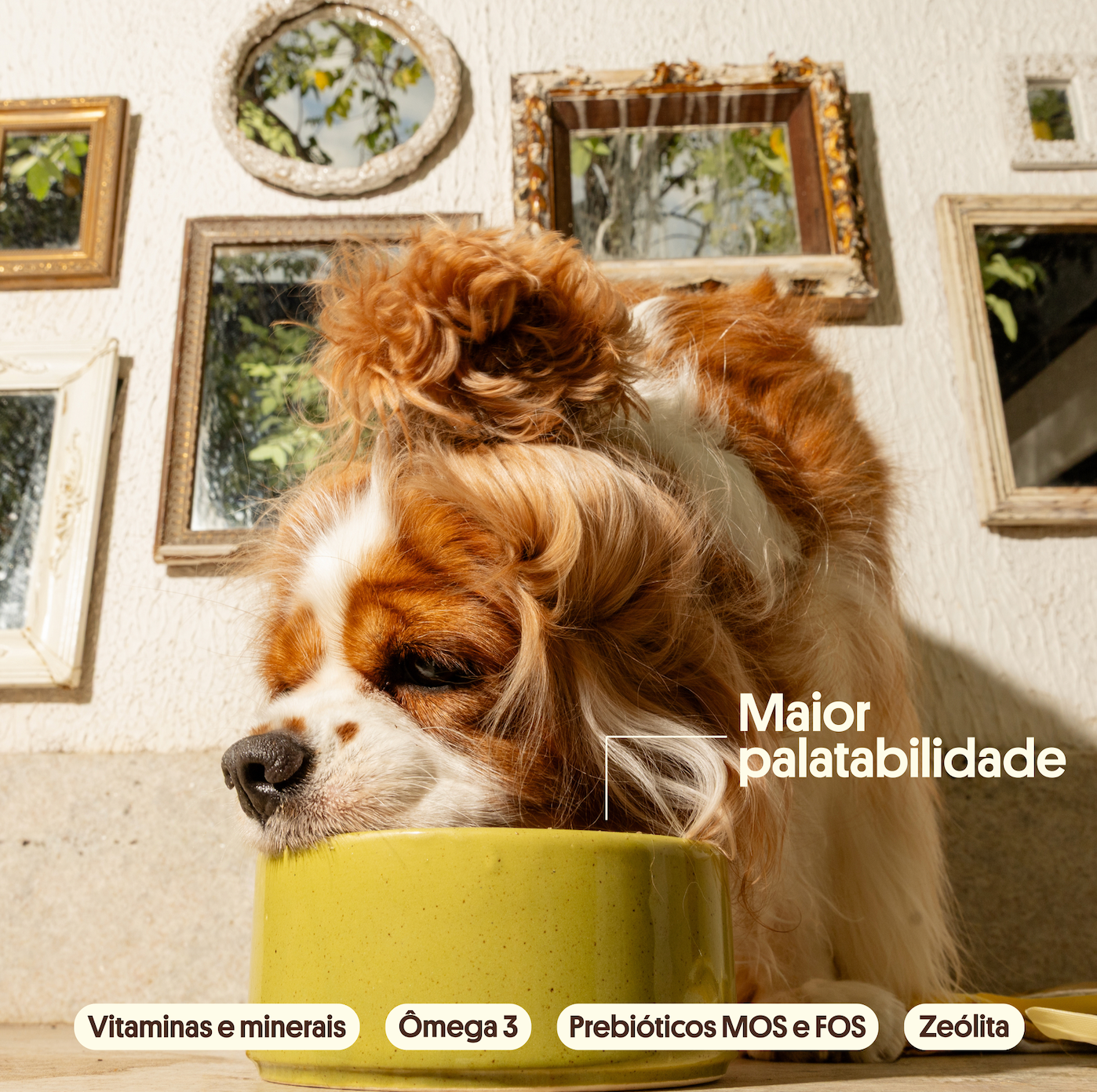 Alimentação Natural