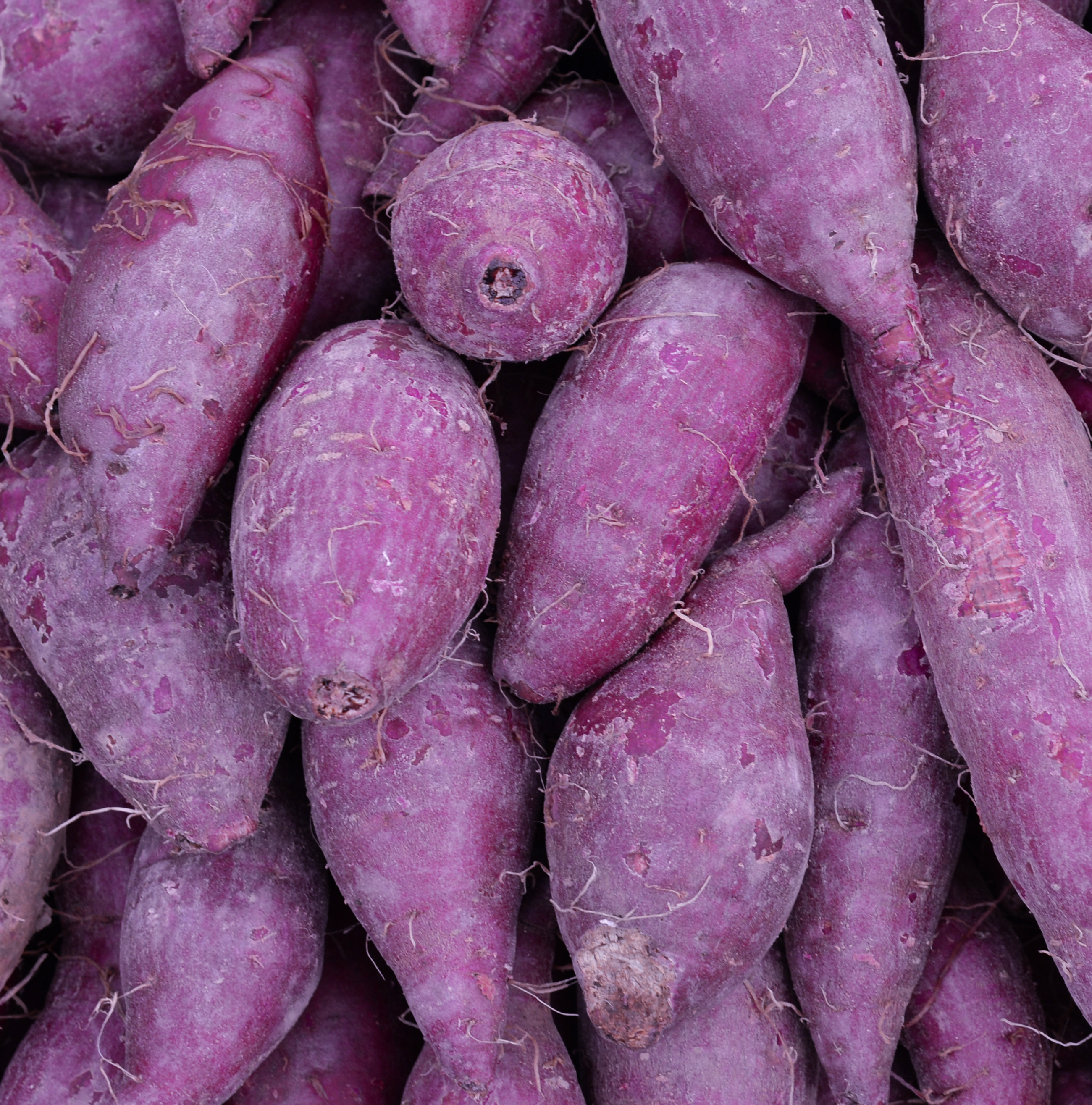 Fibras